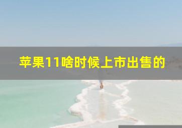 苹果11啥时候上市出售的