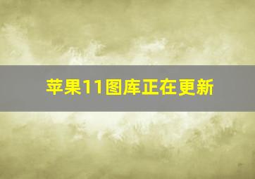 苹果11图库正在更新