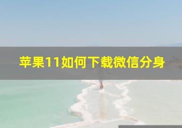 苹果11如何下载微信分身