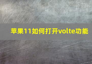 苹果11如何打开volte功能