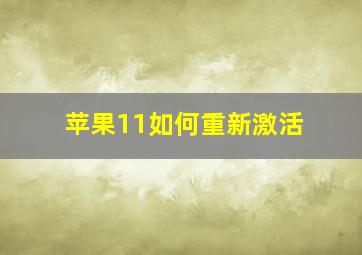 苹果11如何重新激活