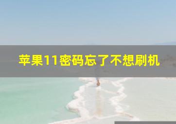 苹果11密码忘了不想刷机