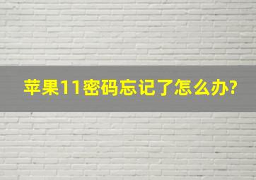 苹果11密码忘记了怎么办?