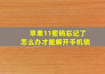 苹果11密码忘记了怎么办才能解开手机锁