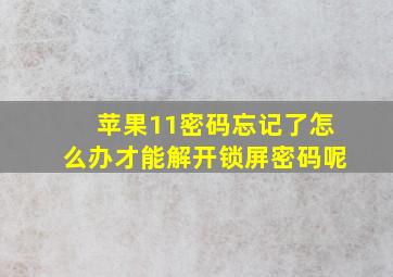 苹果11密码忘记了怎么办才能解开锁屏密码呢