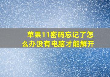 苹果11密码忘记了怎么办没有电脑才能解开