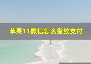 苹果11微信怎么指纹支付