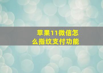 苹果11微信怎么指纹支付功能