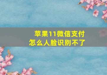 苹果11微信支付怎么人脸识别不了