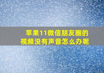 苹果11微信朋友圈的视频没有声音怎么办呢