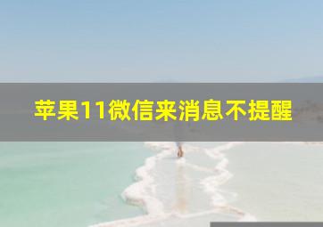 苹果11微信来消息不提醒