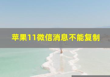 苹果11微信消息不能复制