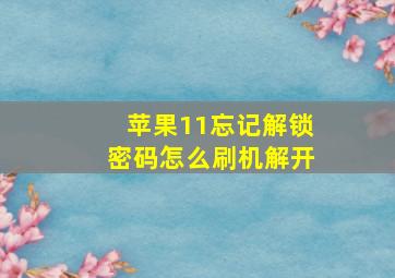 苹果11忘记解锁密码怎么刷机解开