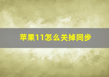 苹果11怎么关掉同步