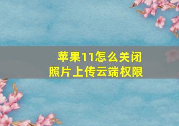 苹果11怎么关闭照片上传云端权限