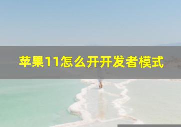 苹果11怎么开开发者模式