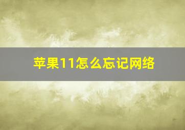 苹果11怎么忘记网络