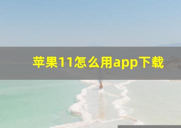 苹果11怎么用app下载