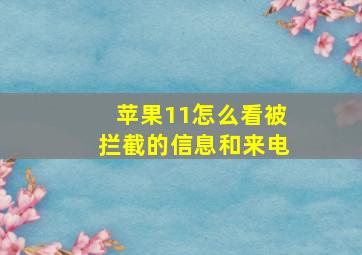 苹果11怎么看被拦截的信息和来电