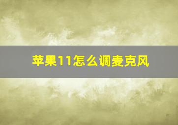 苹果11怎么调麦克风