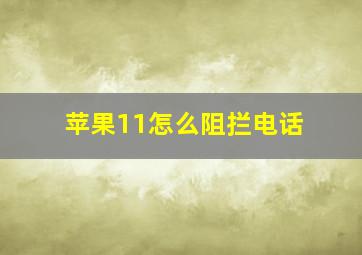 苹果11怎么阻拦电话