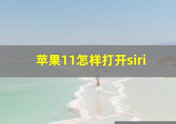 苹果11怎样打开siri