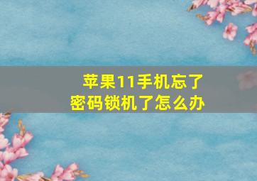 苹果11手机忘了密码锁机了怎么办