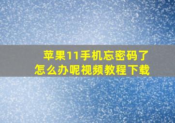 苹果11手机忘密码了怎么办呢视频教程下载