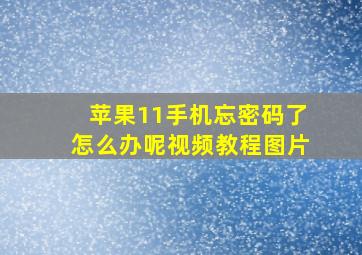 苹果11手机忘密码了怎么办呢视频教程图片