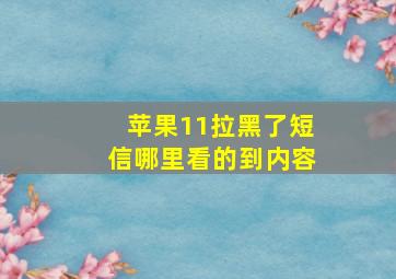 苹果11拉黑了短信哪里看的到内容