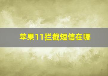 苹果11拦截短信在哪