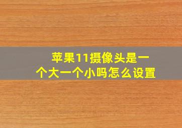 苹果11摄像头是一个大一个小吗怎么设置