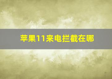 苹果11来电拦截在哪