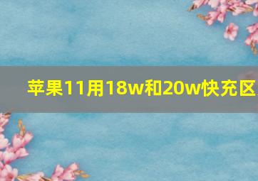 苹果11用18w和20w快充区别