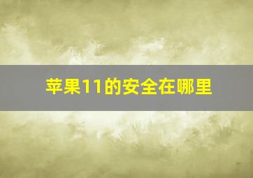 苹果11的安全在哪里