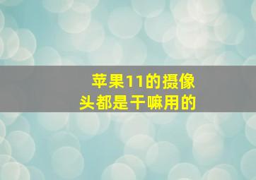 苹果11的摄像头都是干嘛用的