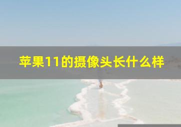 苹果11的摄像头长什么样