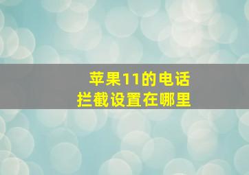 苹果11的电话拦截设置在哪里