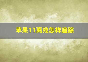 苹果11离线怎样追踪