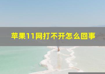 苹果11网打不开怎么回事