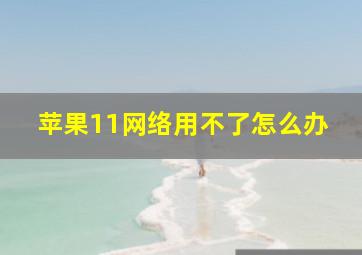 苹果11网络用不了怎么办