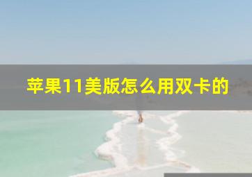 苹果11美版怎么用双卡的