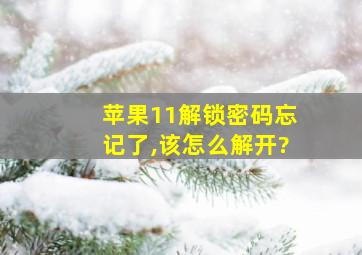 苹果11解锁密码忘记了,该怎么解开?