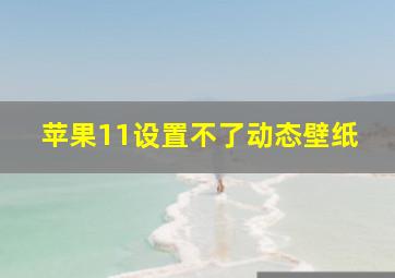 苹果11设置不了动态壁纸