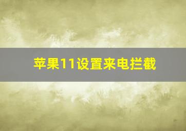 苹果11设置来电拦截