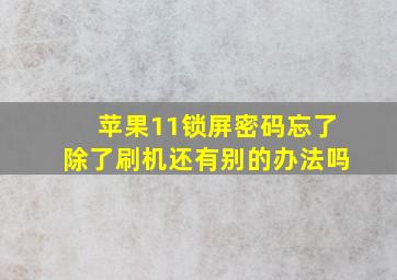 苹果11锁屏密码忘了除了刷机还有别的办法吗