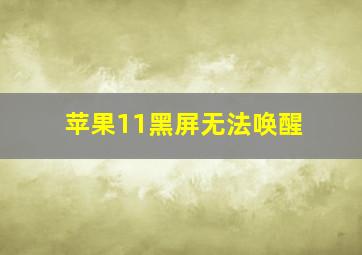 苹果11黑屏无法唤醒