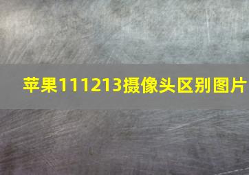 苹果111213摄像头区别图片