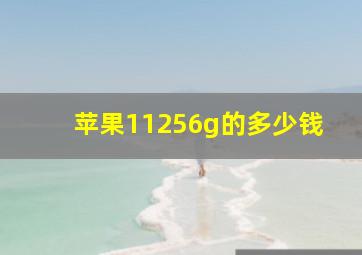 苹果11256g的多少钱