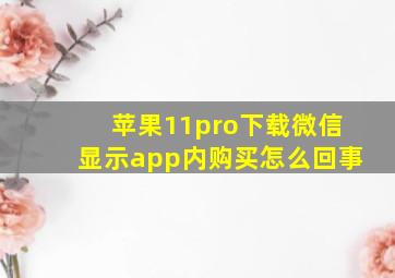 苹果11pro下载微信显示app内购买怎么回事